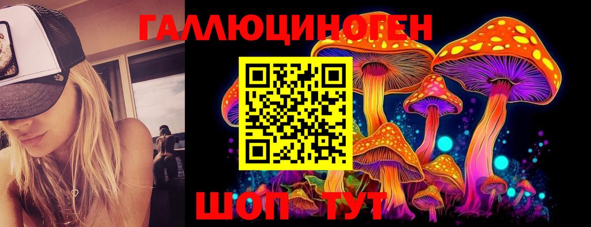 Галлюциногенные грибы мицелий Зеленогорск